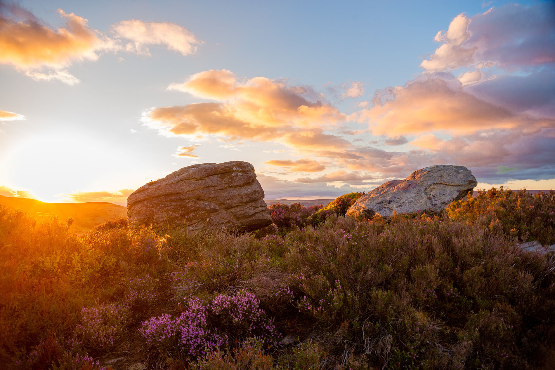 Environmental Allergies​ Treatment Tucson